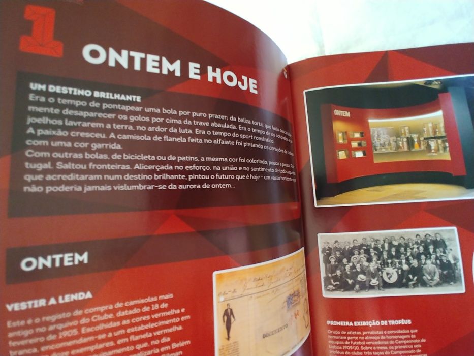Livro do fã - Benfica