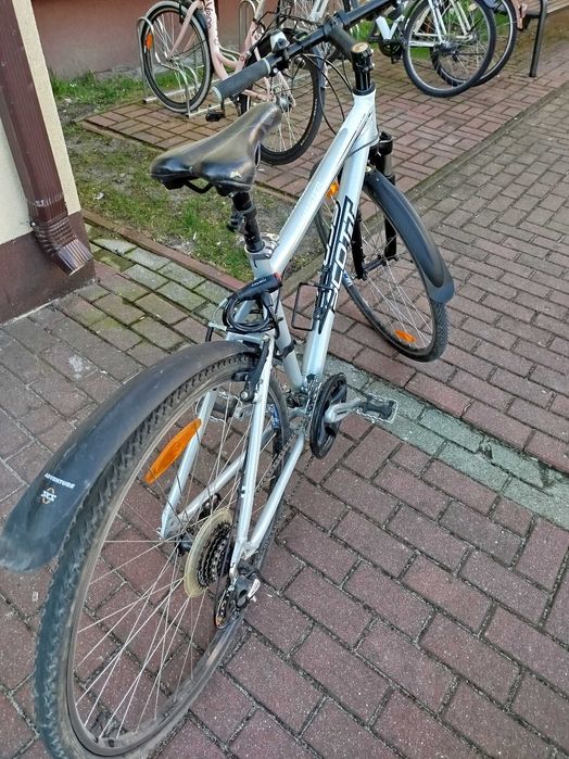 Scott Sportster P5 Rower szosowy.