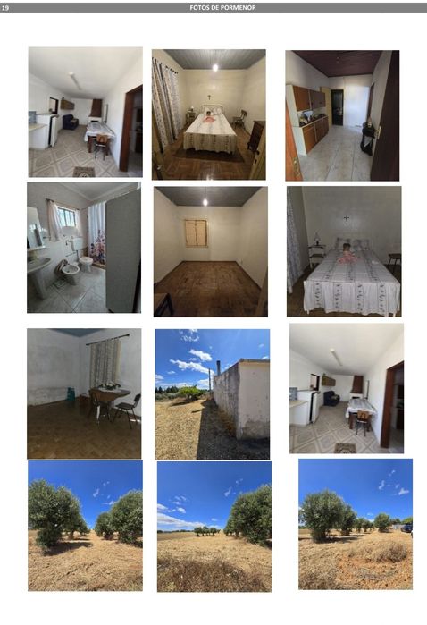 Prédio Urbano e Rústico em Casal do Pote Casével