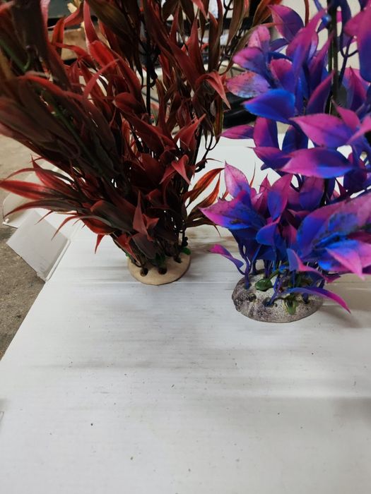 Decorações várias aquário