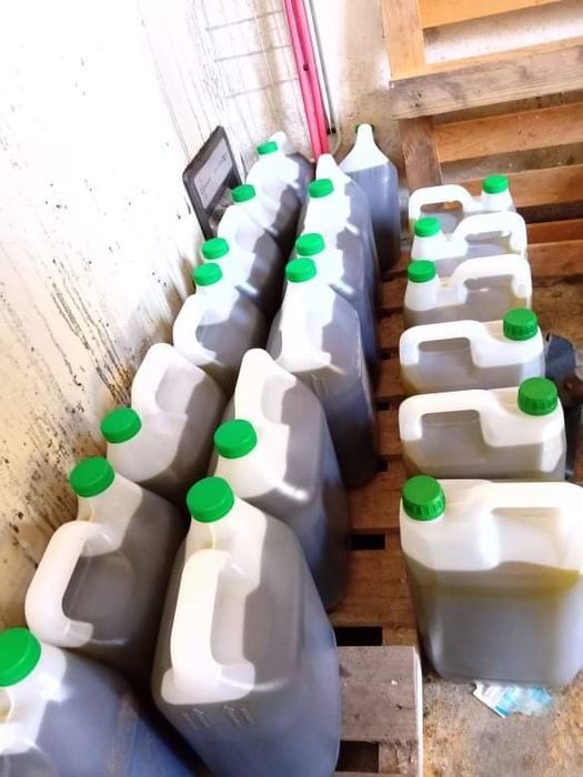 Azeite Caseiro Novo Virgem Extra