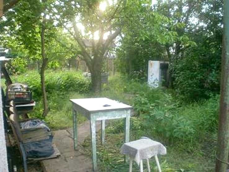 Продаю участок -дачу с. Барабой, кооператив "Альфа"