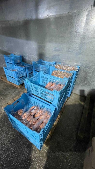 Продаж готового бізнесу у м.Бучач
