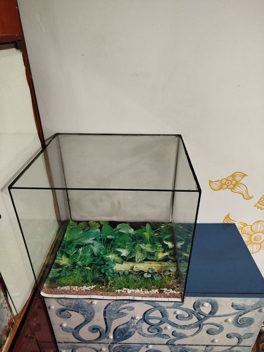 Большой квадратный Террариум.