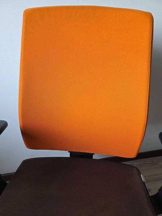 Ergonomiczny fotel Profim Raya