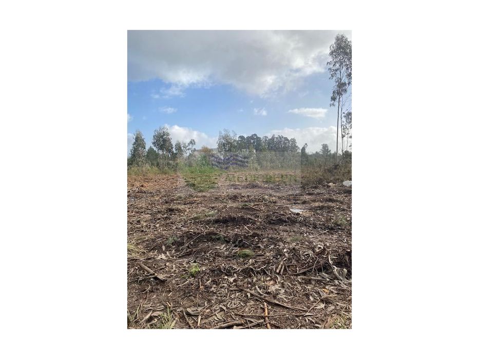 Dois Lotes De Terreno Industrial | Albergaria-A-Velha