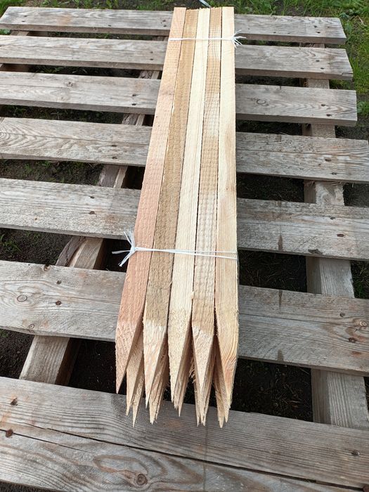 Paliki 60 cm 1,2 zł/szt