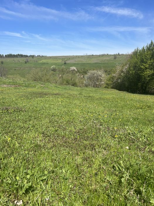 Продам земельну ділянку з гарним краєвидом.