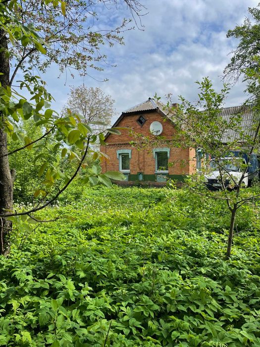 Продам будинок село Непедівка