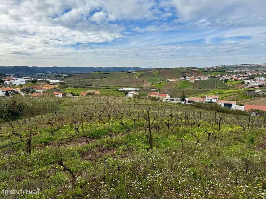 Terreno Rústico c/17 960m2 e vinhas antigas — A Dos Cunhados E Maceira, Lisboa
