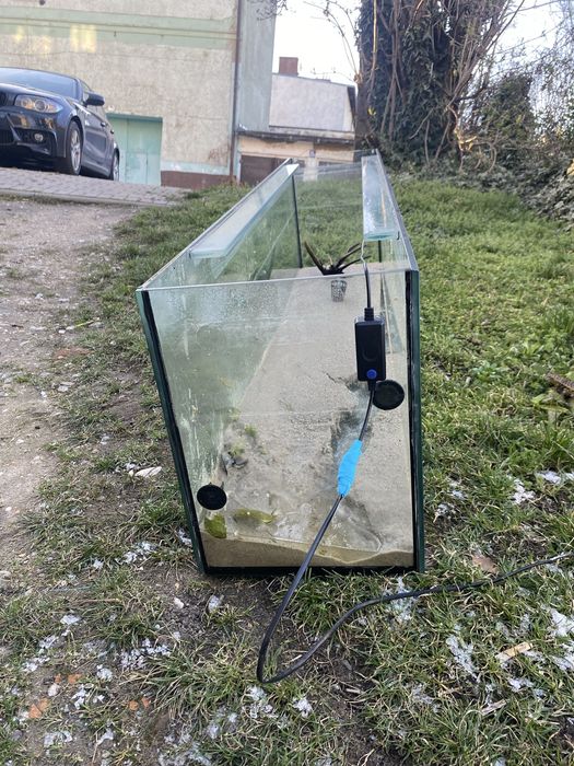 Terarium do sprzedania