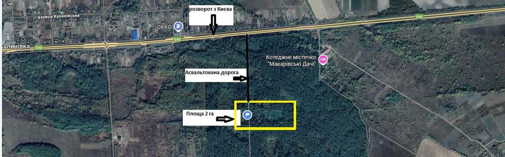 Продаж 2 земельних ділянок у лісі по 2 га, с. Копилів