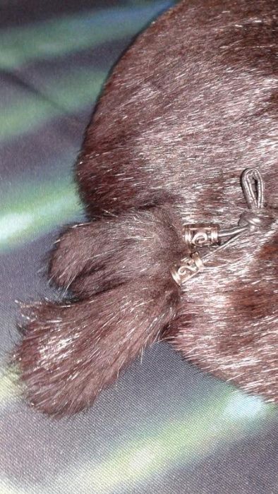 Берет из нутрии натуральный класический