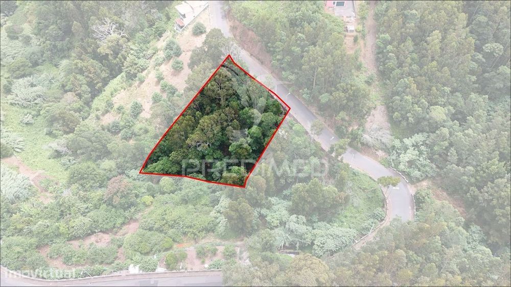Terreno Rústico com 1.440 m² | Fonte dos Almocreves | Santa Cruz