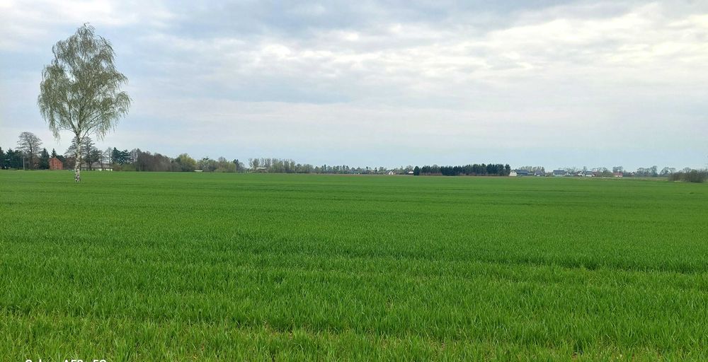 Działka budowlana 1500 m² - Widok 2