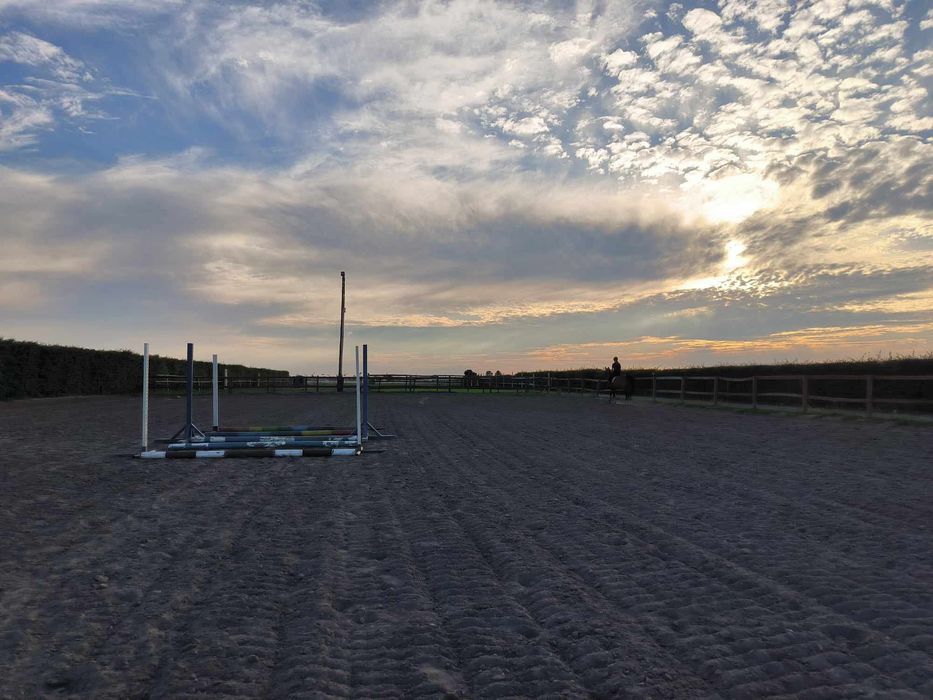 WOLNY BOKS! Pensjonat dla koni