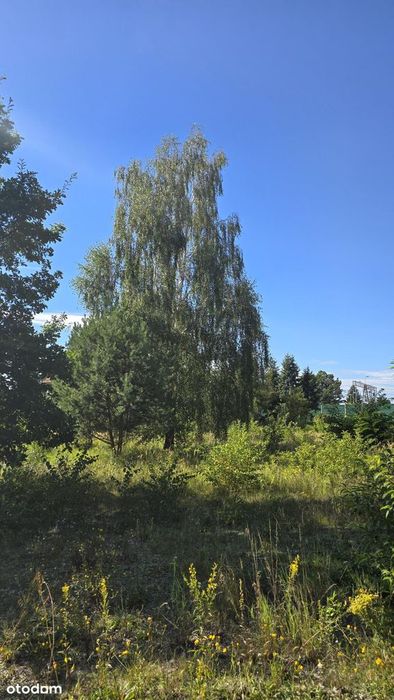 Działka usługowo-mieszkaniowa 1219 m² | Brwinów | PKP | - Widok 3