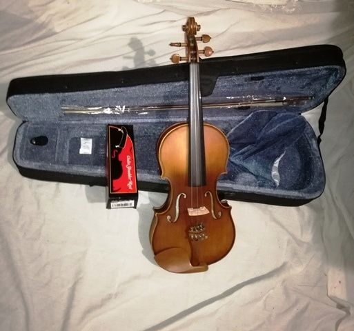 Violino de madeira profissional