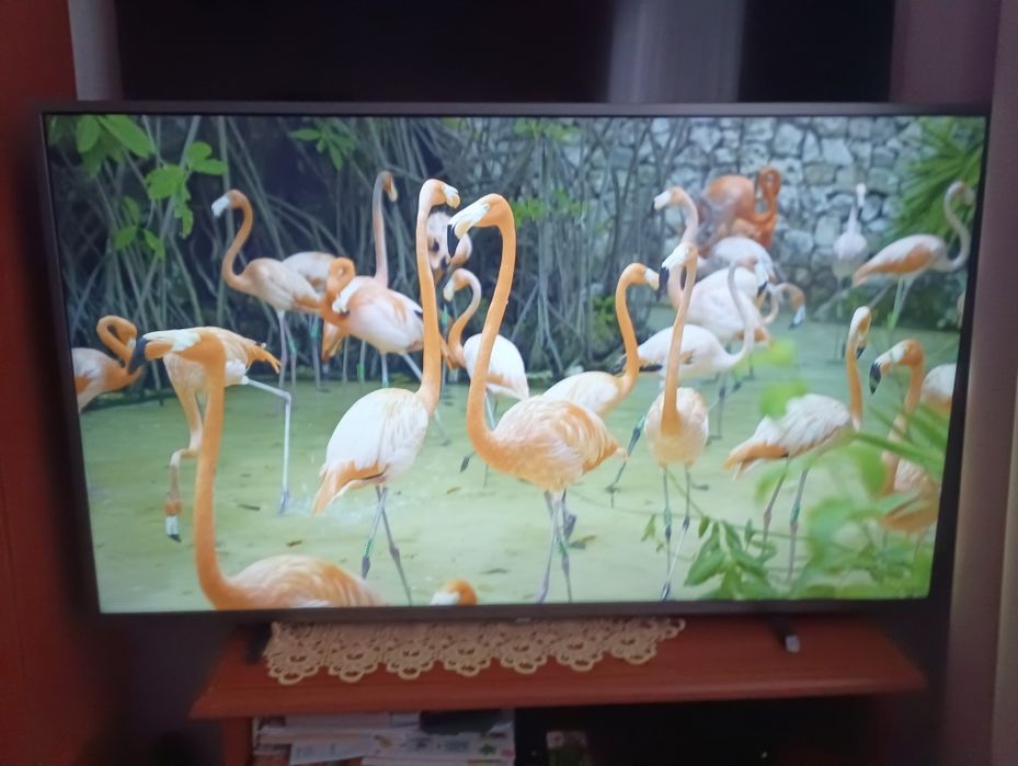 Philips 55 cali uhd 4k Smart wifi DVB-T 2