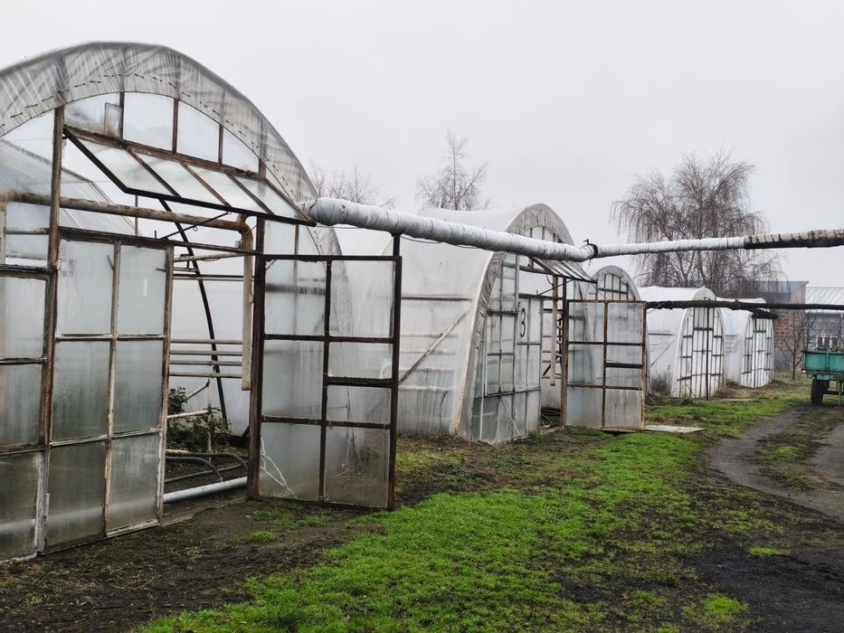 Sprzedam tunele foliowe