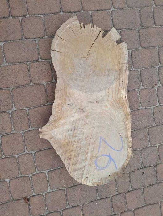 Plastry dębowe na stolik kawowy