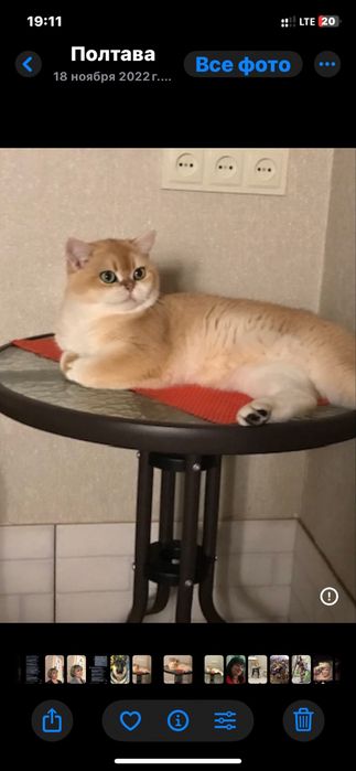 Класнючий мачо ! Вязка