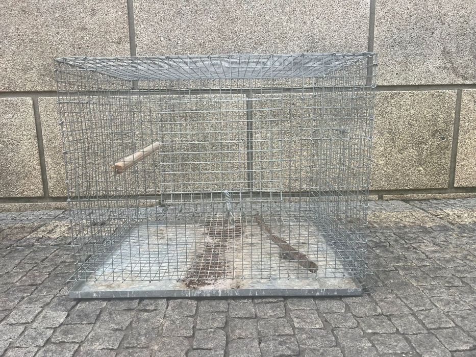 Gaiolas para aves