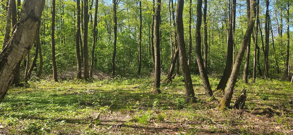 Sprzedam działkę 1619 m2 bezpośrednio