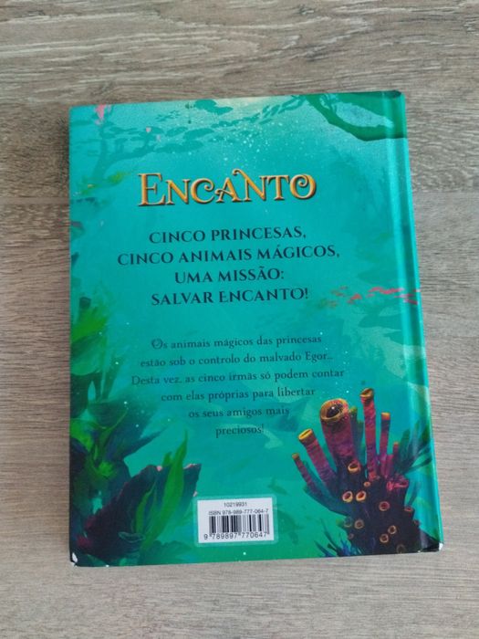 Livro encanto " a magia das recordações"