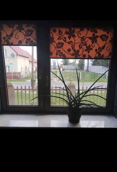 Dwa Okna z demontażu