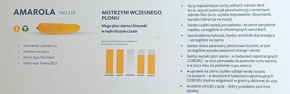 Kukurydza Amarola FAO 210 Amaroc FAO 230 Z/K