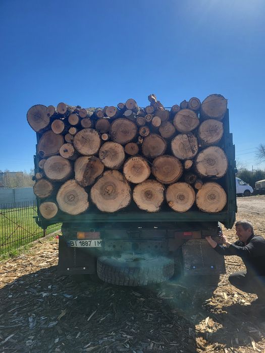 Дрова акация, сосна, дуб, ясень