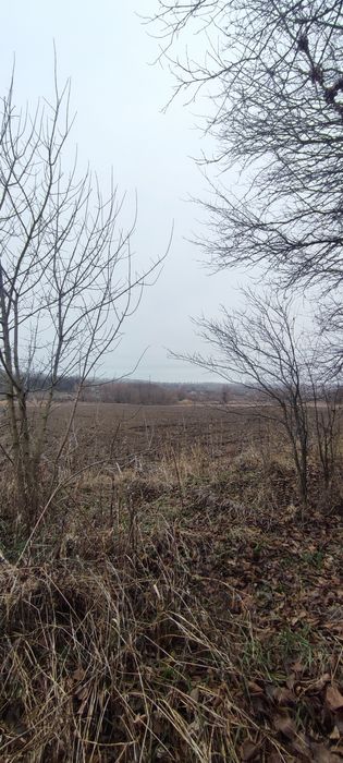 Земельна ділянка 50 соток