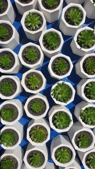 Podziękowanie dla gości