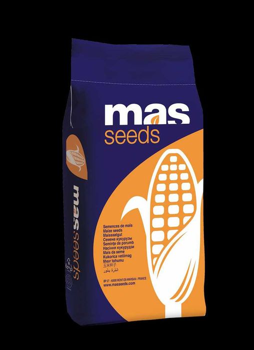 MAS 23M Interactis 306P 29T 125C Hulk Hogan 43P 22R Starlord Mas 2026r