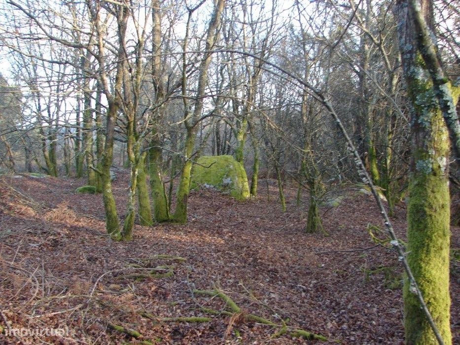 Estate in Paredes de Coura