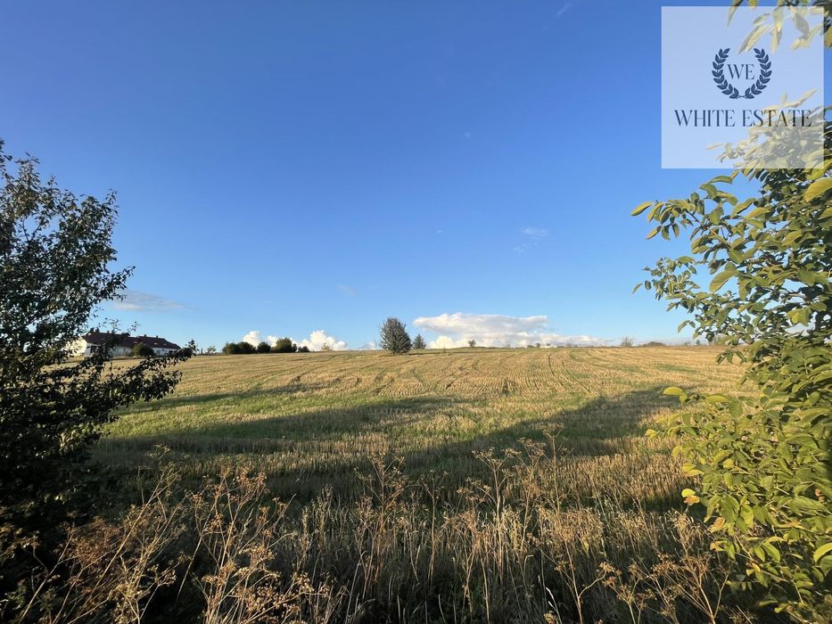 Продаж земельної ділянки Мишковичі.