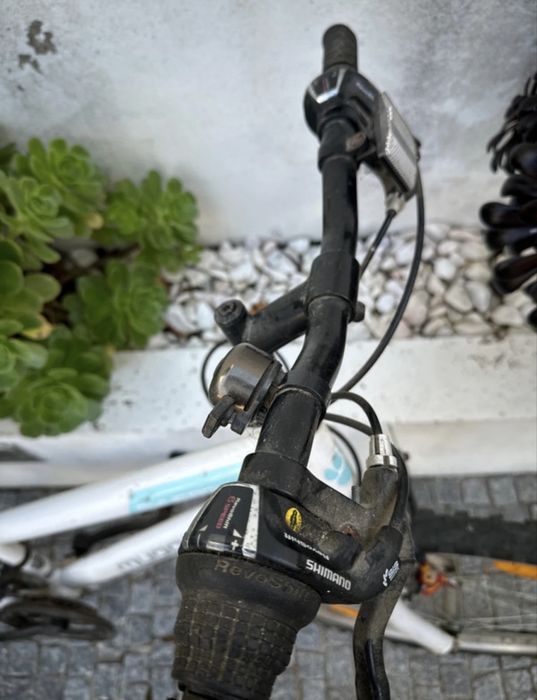 Bicicleta Synergy 24