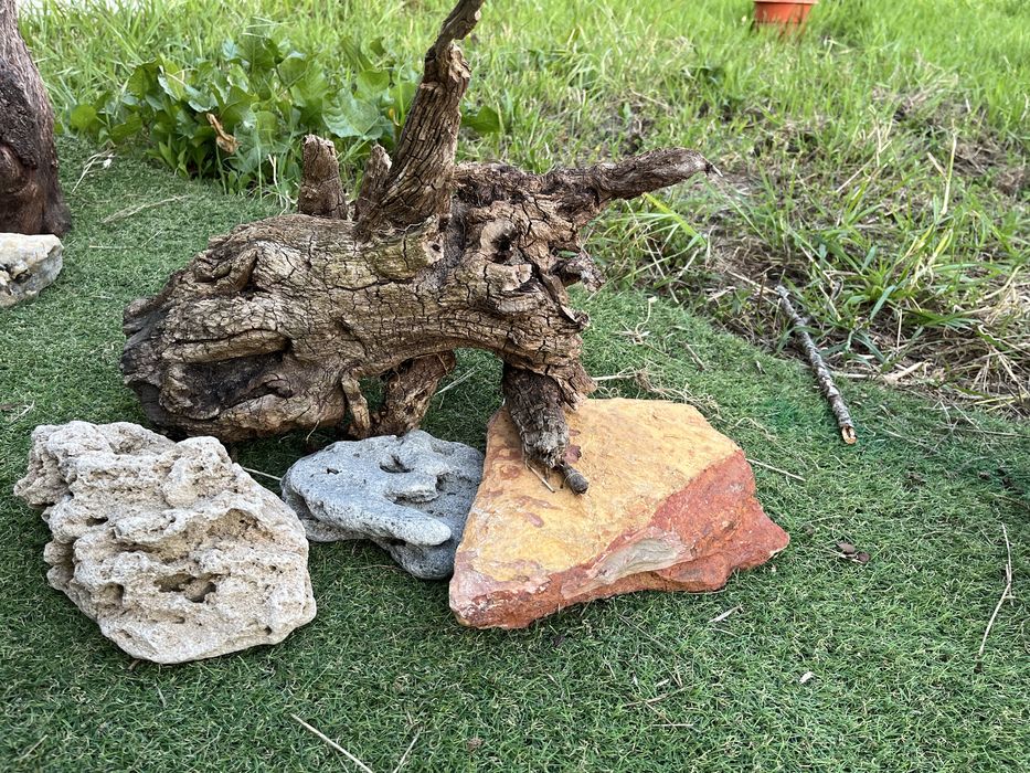 Tronco para terrario ou aquario