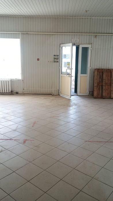 здам в оренду приміщення 260кв в центрі города