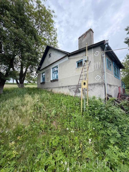 Будинок в житловому стані