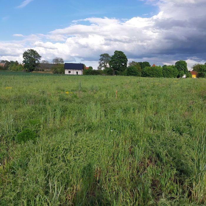 Działki budowlane  Radówek