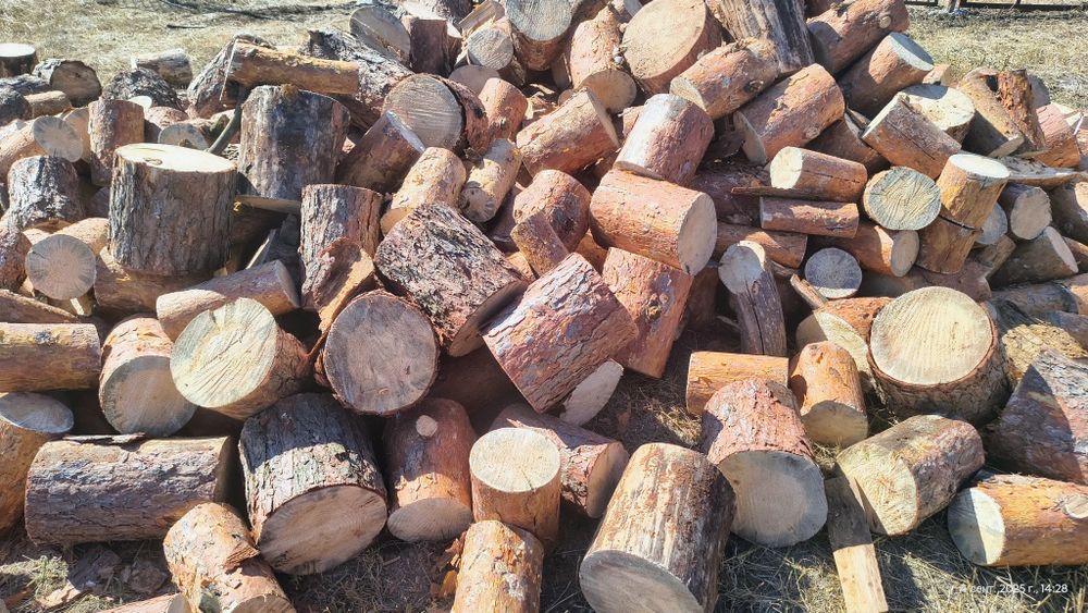 Дрова сосна пиляні та колоті 1800грн