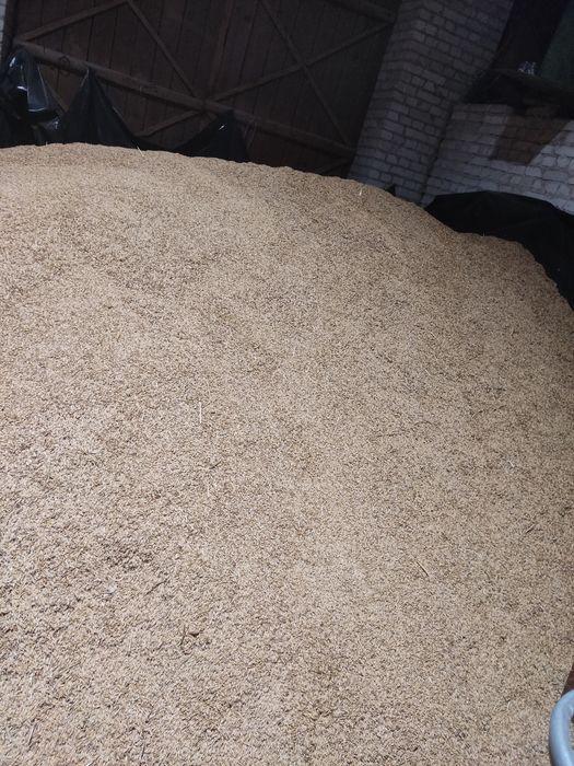 Owies jary Bingo  2025