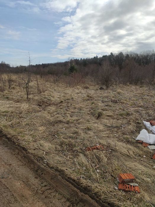 Продаж земельної ділянки  в селі Конопниця Львівської області