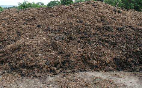 obornik bydlęcy z transportem