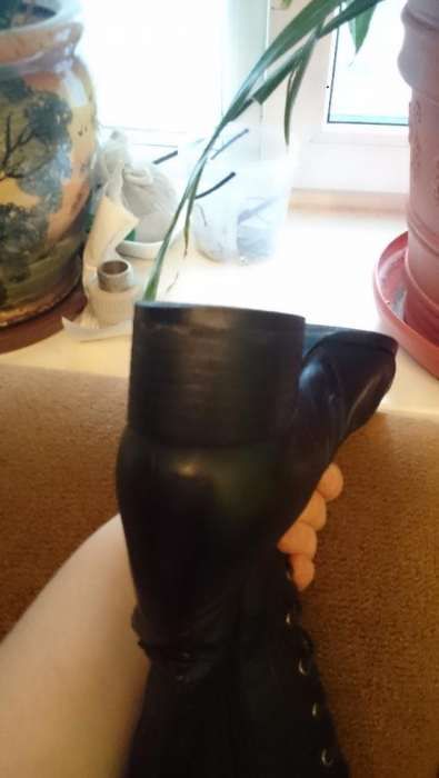 Зимние сапожки натур.кожа