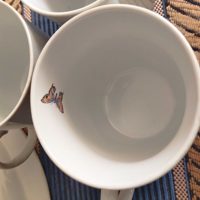 Набор посуды с перламутром (люстр), 7 предметов, розы