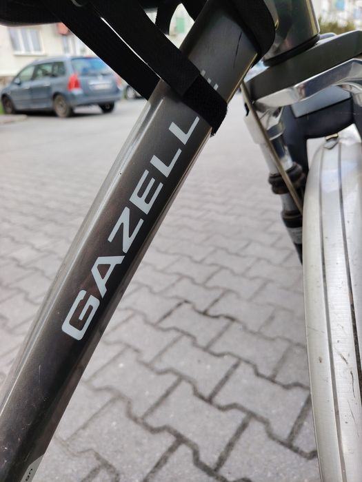 Rower męski Gazelle