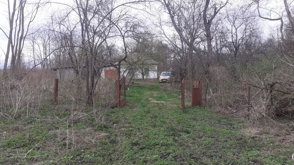 Будинковолодіння Гречанівка. 40 соток землі